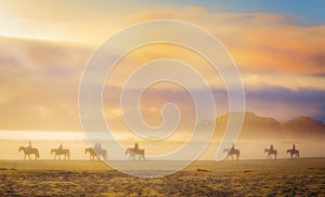 Koně v mlha na západ slunce 